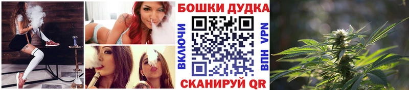 Бошки Шишки Светлогорск
