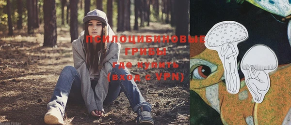 круглые Коряжма