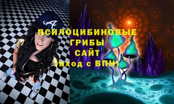 спиды Костерёво