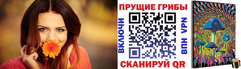 Купить  Светлогорск  Галлюциногенные грибы Cubensis 